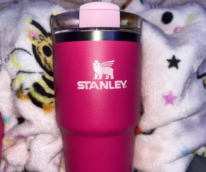 Stanley Adventure 20oz Stainless Steel Quencher H2.0 Tumbler