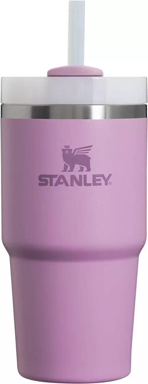 Stanley Adventure 20oz Stainless Steel Quencher H2.0 Tumbler