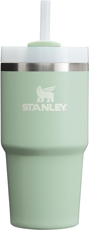 Stanley Adventure 20oz Stainless Steel Quencher H2.0 Tumbler