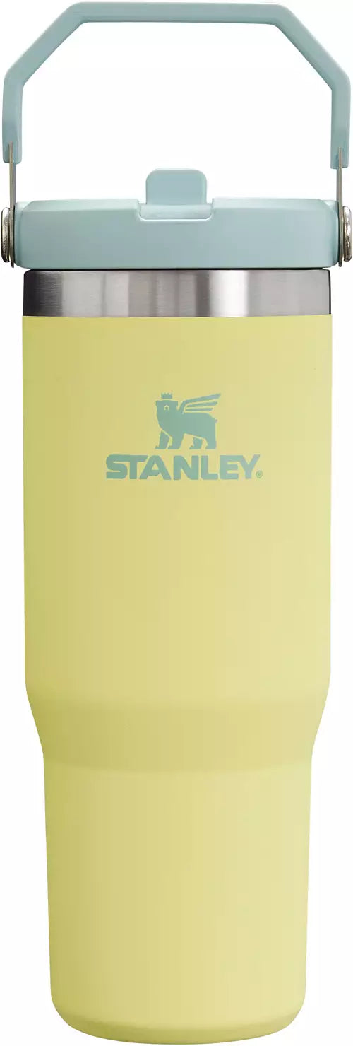 Stanley 30 oz Stainless Steel IceFlow Flip Straw Tumbler