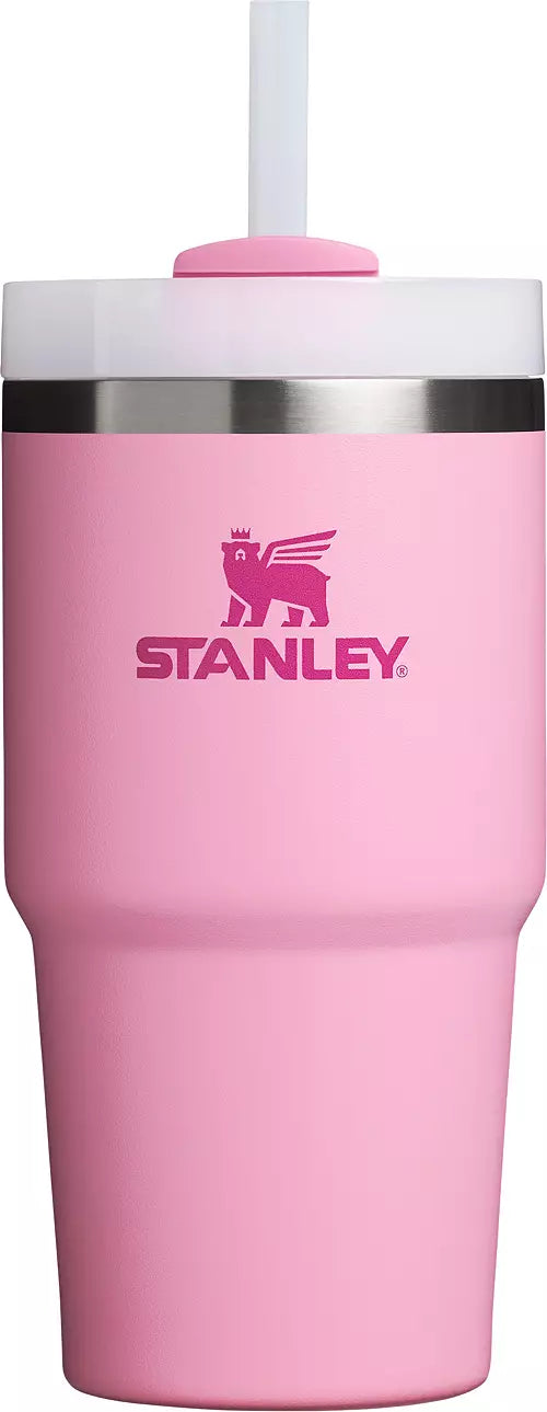 Stanley Adventure 20oz Stainless Steel Quencher H2.0 Tumbler