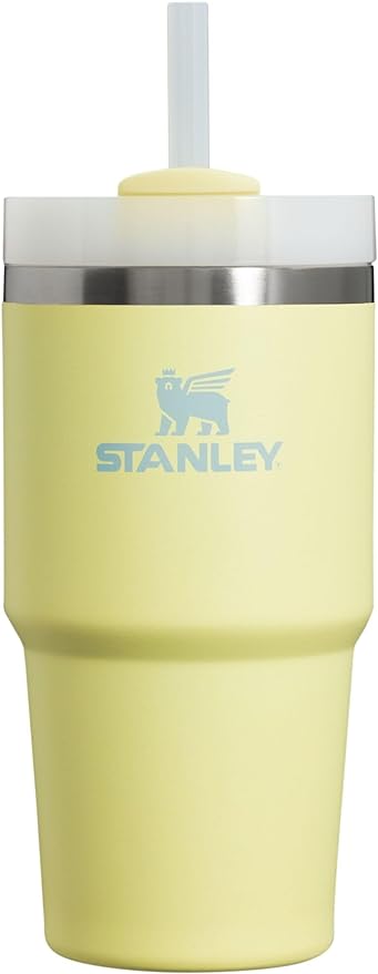 Stanley Adventure 20oz Stainless Steel Quencher H2.0 Tumbler