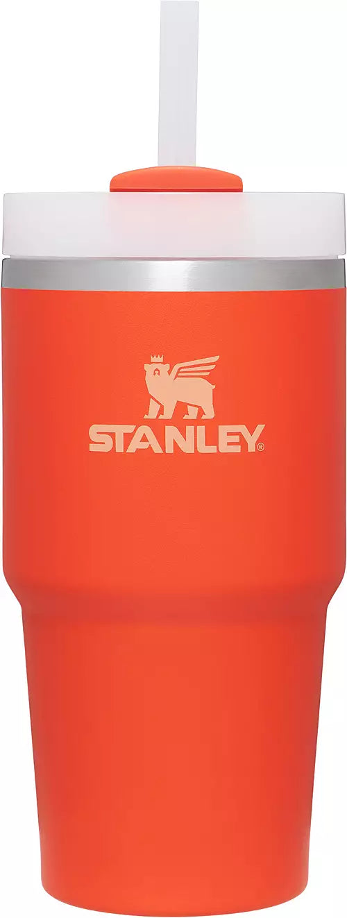 Stanley Adventure 20oz Stainless Steel Quencher H2.0 Tumbler