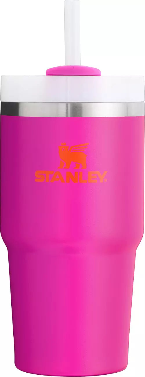 Stanley Adventure 20oz Stainless Steel Quencher H2.0 Tumbler